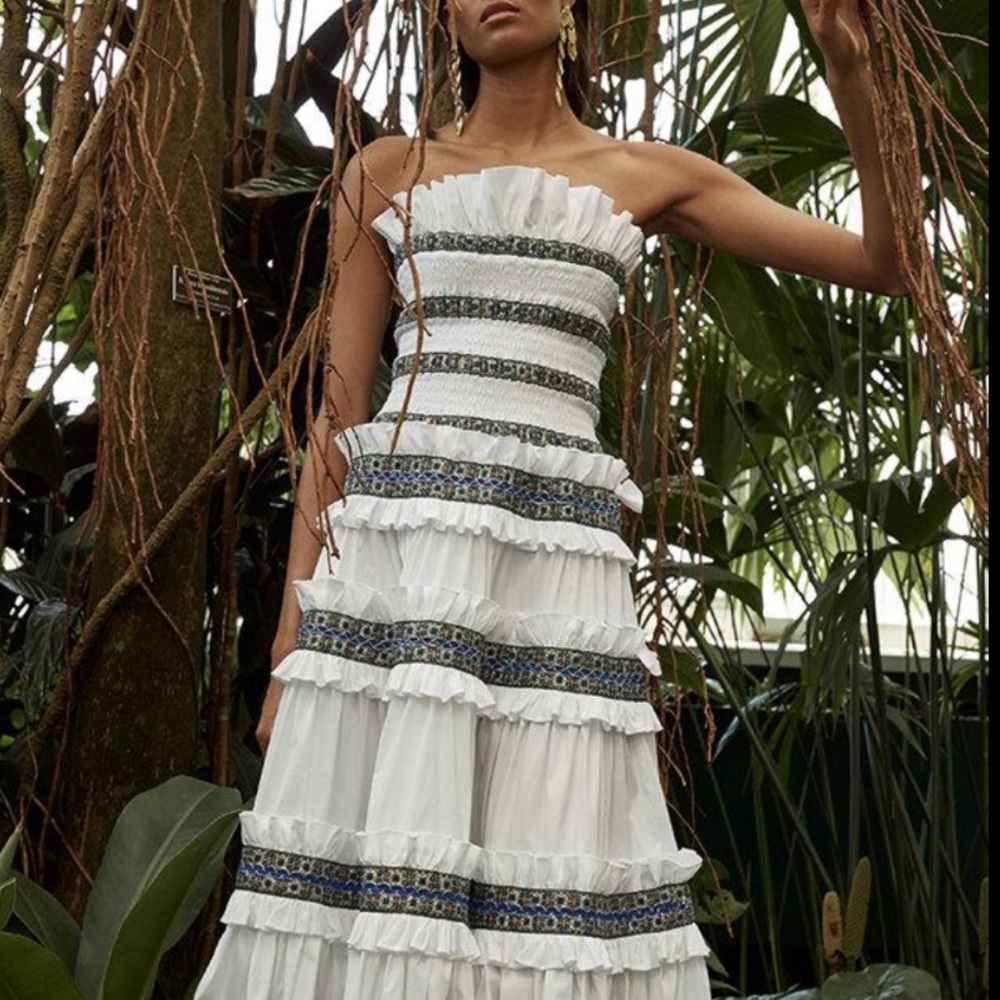 Caroline Constas Carina strapless midi dress S. Used once + dry cleaned